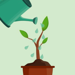 A photo representing the company's growth